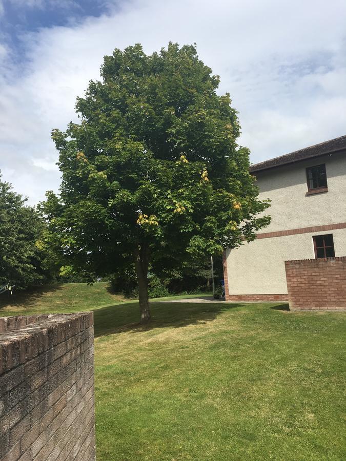 Miller Apartment Inverness Luaran gambar